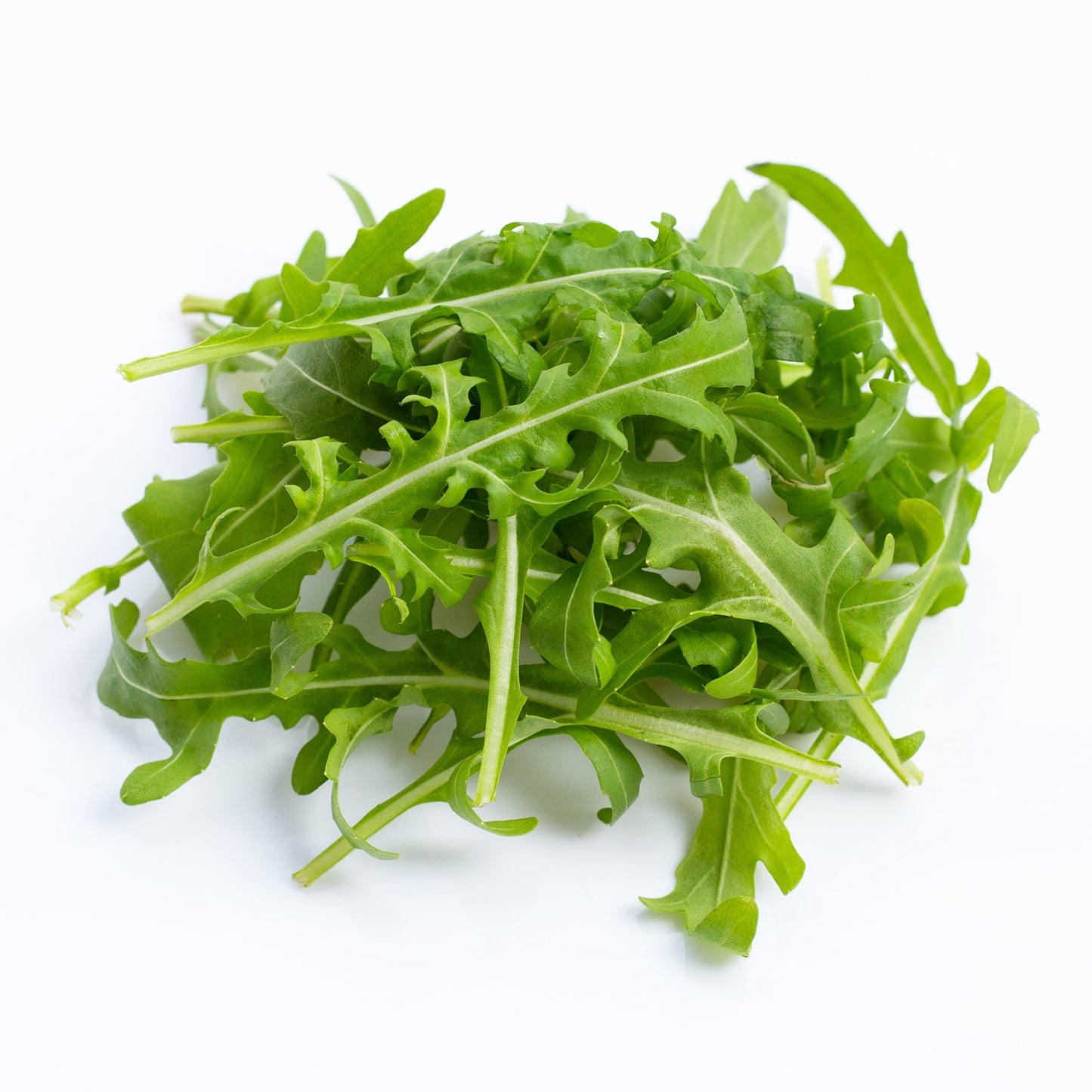 Arugula Stonecrop Farm New York