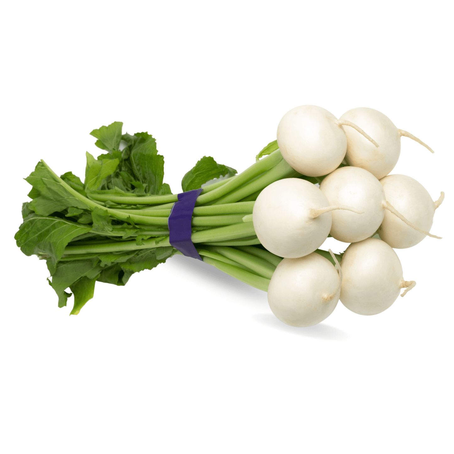 Hakurei Salad Turnips Stonecrop Farm