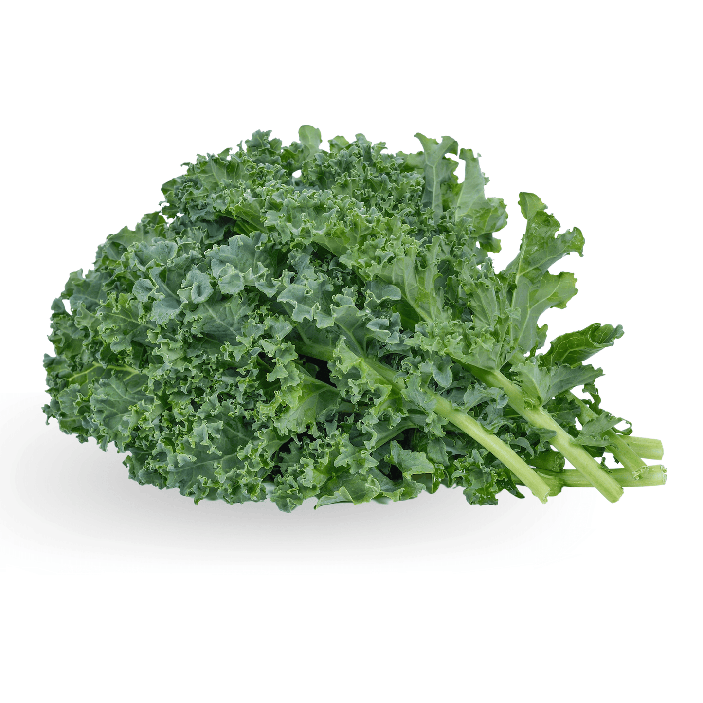 Kale Stonecrop Farm New York
