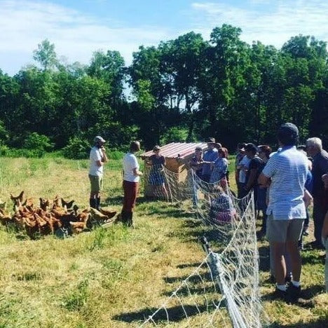 Private Tour Stonecrop Farm New York