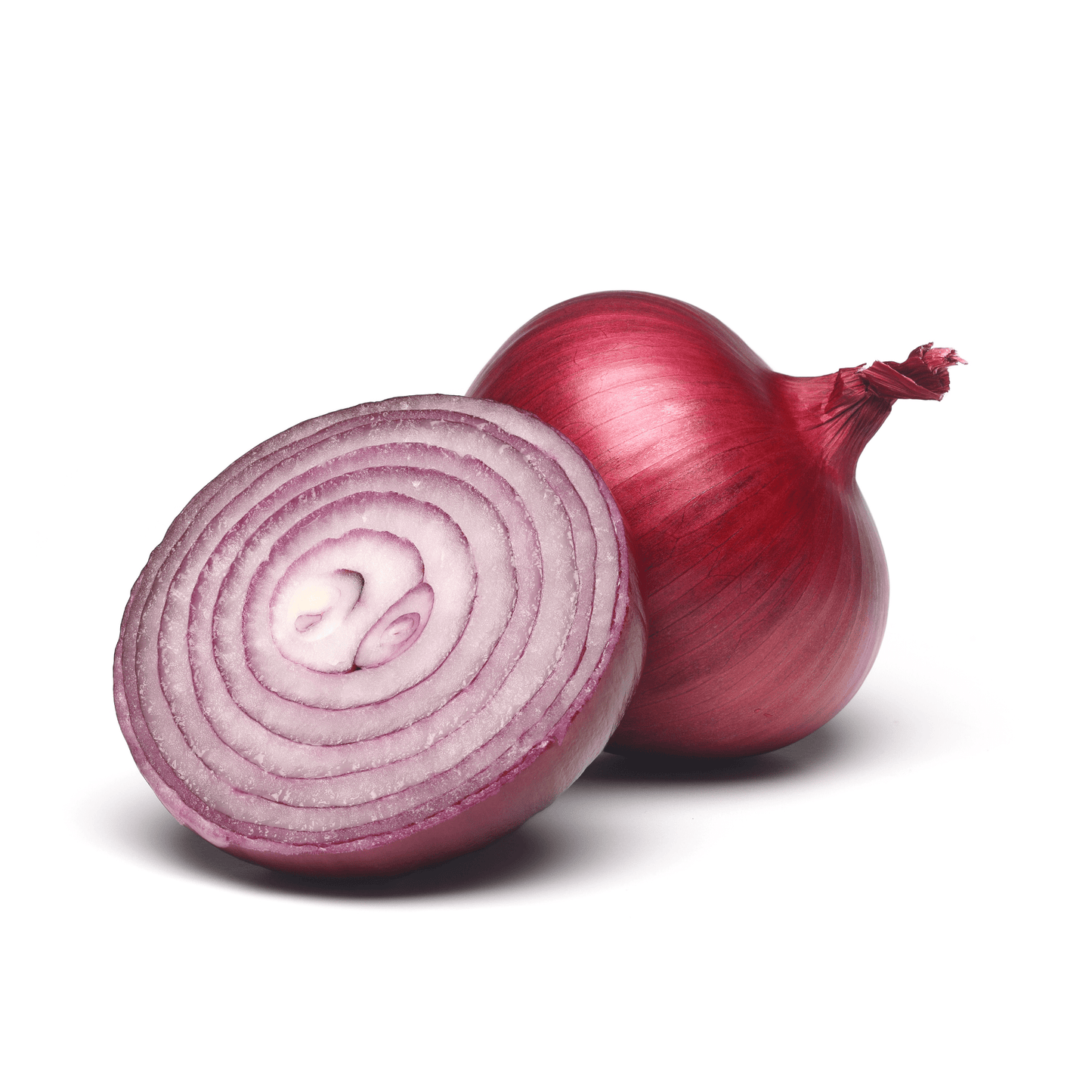 Red Onions Stonecrop Farm New York