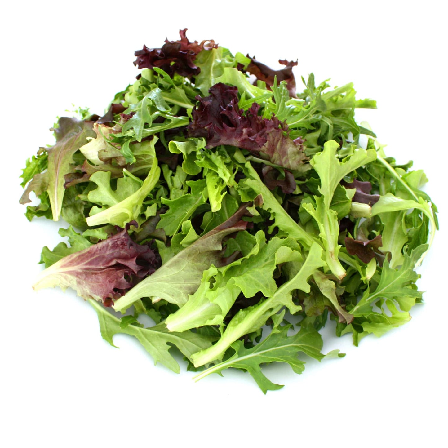 Salad Greens Stonecrop Farm New York