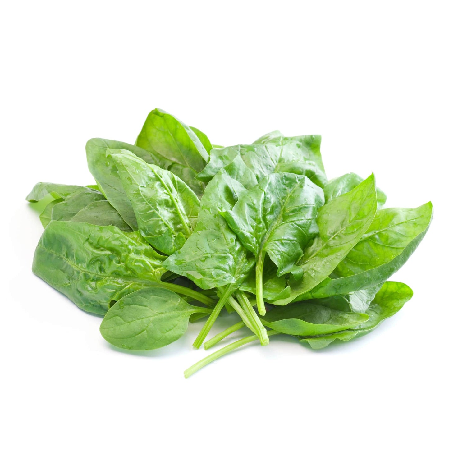 Spinach Stonecrop Farm New York
