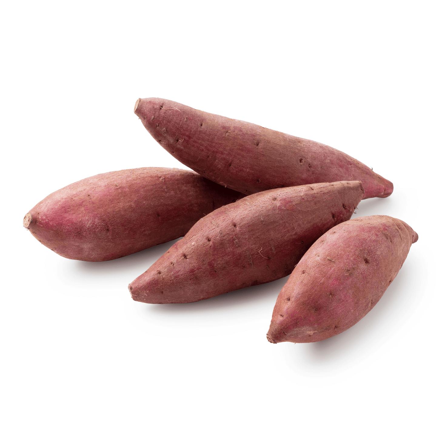 Sweet Potatoes Stonecrop Farm New York