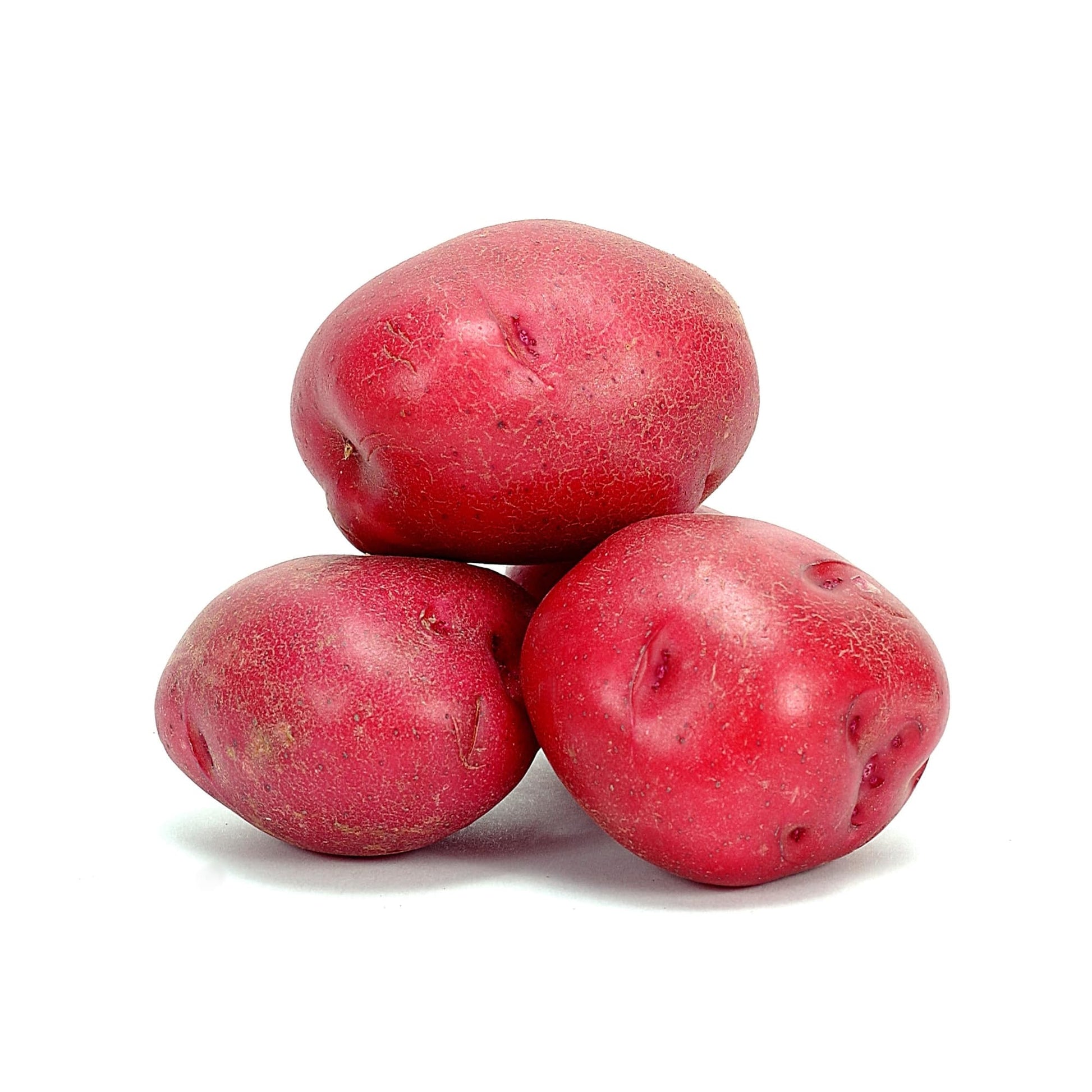 Red Potatoes Stonecrop Farm New York